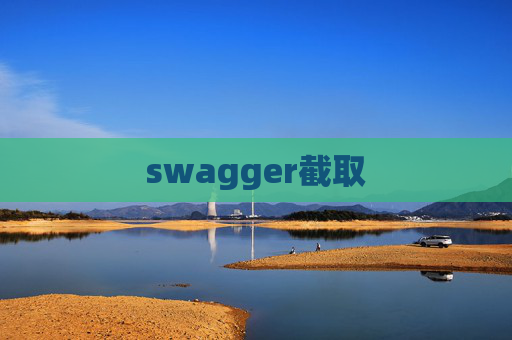 swagger截取